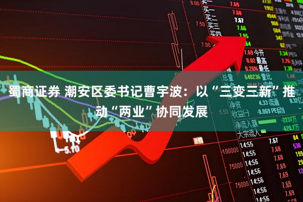 蜀商证券 潮安区委书记曹宇波：以“三变三新”推动“两业”协同发展
